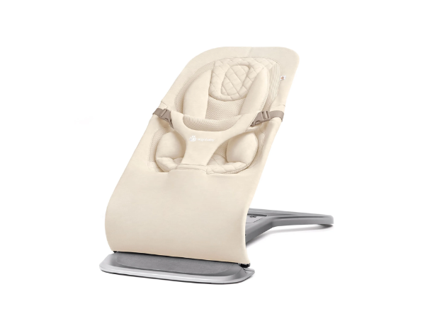 Ergobaby Evolve Bouncer