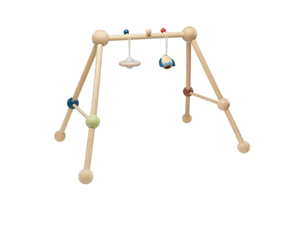 Plan Toys Playgym